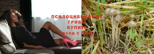 гидропоника Надым
