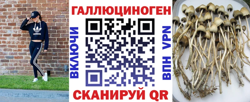 даркнет Telegram  продажа наркотиков  Серпухов  Псилоцибиновые грибы мухоморы 