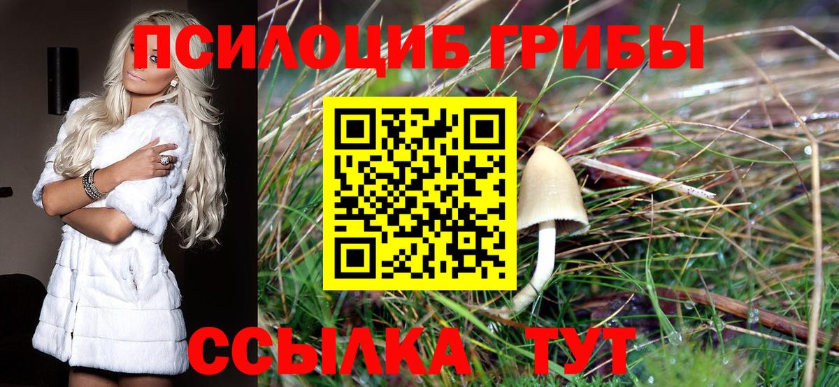 Галлюциногенные грибы MAGIC MUSHROOMS Серпухов