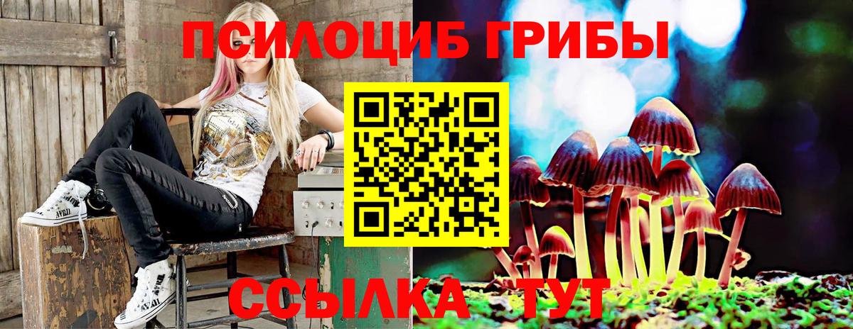 Псилоцибиновые грибы GOLDEN TEACHER  продажа наркотиков  Серпухов  Галлюциногенные грибы Psilocybe  Вход с VPN 