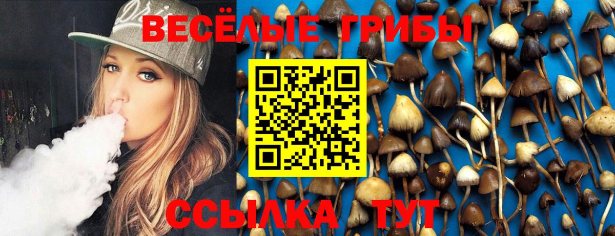 Псилоцибиновые грибы мухоморы Серпухов